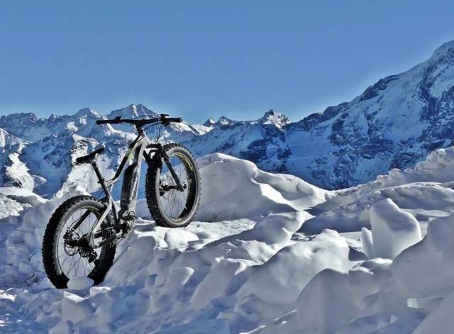 Fat Bike