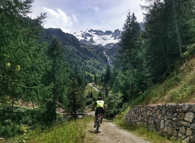 Mountain-bike